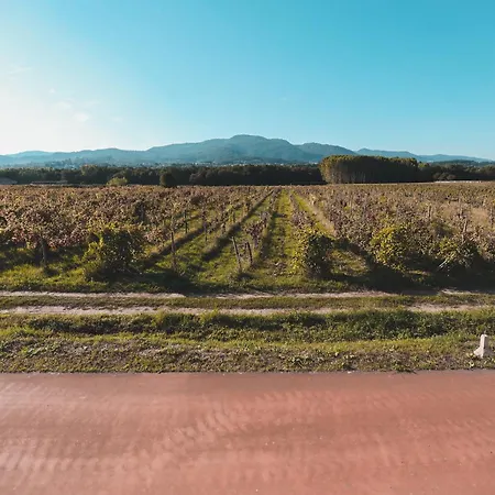 فندق Alma Candida 12 Ufe